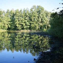 Etang de pêche du Prussien à Raismes dans le Nord