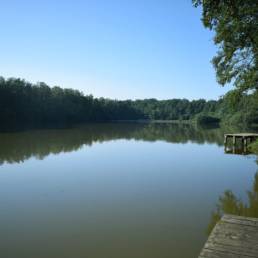 Etang de pêche du Prussien à Raismes dans le Nord