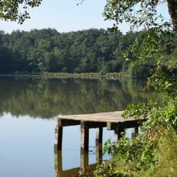 Etang de pêche du Prussien à Raismes dans le Nord