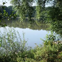 Etang de pêche du Prussien à Raismes dans le Nord