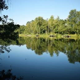 Etang de pêche du Prussien à Raismes dans le Nord