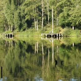 Etang de pêche du Prussien à Raismes dans le Nord