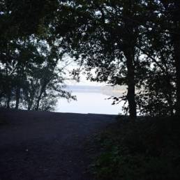 Mare à goriaux à Raismes dans le département du Nord