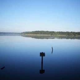 Mare à goriaux à Raismes dans le département du Nord