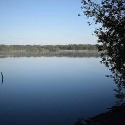 Mare à goriaux à Raismes dans le département du Nord