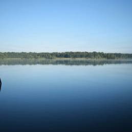 Mare à goriaux à Raismes dans le département du Nord