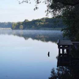 Mare à goriaux à Raismes dans le département du Nord