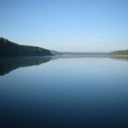 Mare à goriaux à Raismes dans le département du Nord