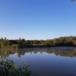 Mare à goriaux à Raismes dans le département du Nord