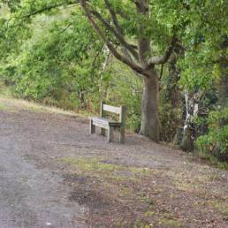 banc Mare à goriaux à Raismes dans le département du Nord