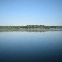 Mare à goriaux à Raismes dans le département du Nord