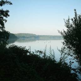 Mare à goriaux à Raismes dans le département du Nord