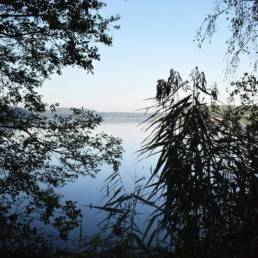 Mare à goriaux à Raismes dans le département du Nord