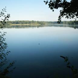Mare à goriaux à Raismes dans le département du Nord