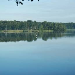 Mare à goriaux à Raismes dans le département du Nord