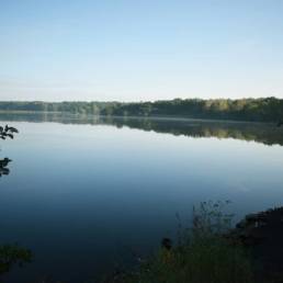 Mare à goriaux à Raismes dans le département du Nord