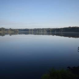 Mare à goriaux à Raismes dans le département du Nord