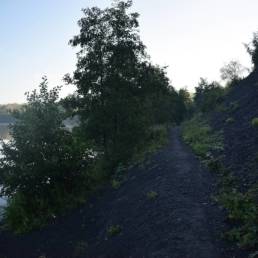 Mare à goriaux à Raismes dans le département du Nord