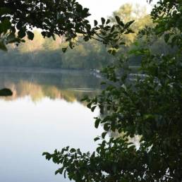 Mare à goriaux à Raismes dans le département du Nord