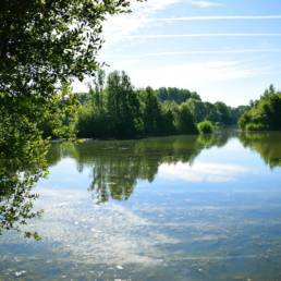 Etang de pêche de la Puchoie à Saint Amand les eaux dans le Nord