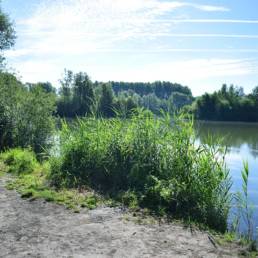 Etang de pêche de la Puchoie à Saint Amand les eaux dans le Nord