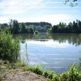 Etang de pêche de la Puchoie à Saint Amand les eaux dans le Nord
