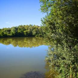 Etang de pêche de la Puchoie à Saint Amand les eaux dans le Nord