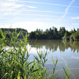Etang de pêche de la Puchoie à Saint Amand les eaux dans le Nord