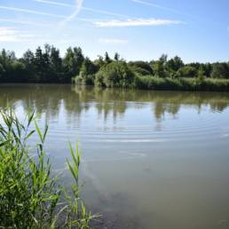 Etang de pêche de la Puchoie à Saint Amand les eaux dans le Nord