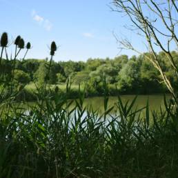 Etang de pêche de la Puchoie à Saint Amand les eaux dans le Nord