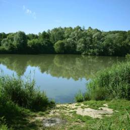 Etang de pêche de la Puchoie à Saint Amand les eaux dans le Nord
