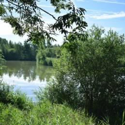 Etang de pêche de la Puchoie à Saint Amand les eaux dans le Nord