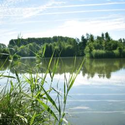 Etang de pêche de la Puchoie à Saint Amand les eaux dans le Nord