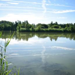 Etang de pêche de la Puchoie à Saint Amand les eaux dans le Nord