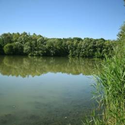 Etang de pêche de la Puchoie à Saint Amand les eaux dans le Nord