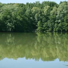Etang de pêche de la Puchoie à Saint Amand les eaux dans le Nord