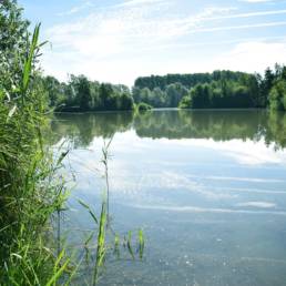 Etang de pêche de la Puchoie à Saint Amand les eaux dans le Nord