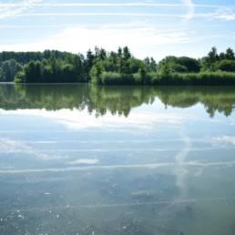Etang de pêche de la Puchoie à Saint Amand les eaux dans le Nord