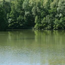 Etang de pêche de la Puchoie à Saint Amand les eaux dans le Nord