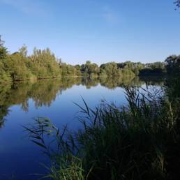 Etang de pêche de la Puchoie à Saint Amand les eaux dans le Nord