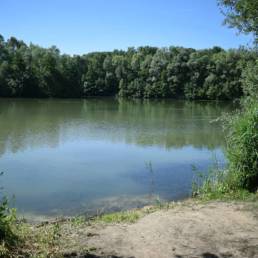 Etang de pêche de la Puchoie à Saint Amand les eaux dans le Nord