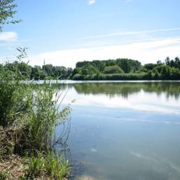 Etang de pêche de la Puchoie à Saint Amand les eaux dans le Nord