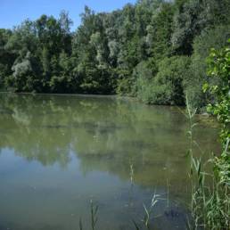 Etang de pêche de la Puchoie à Saint Amand les eaux dans le Nord