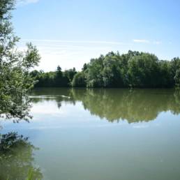 Etang de pêche de la Puchoie à Saint Amand les eaux dans le Nord