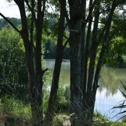Etang de pêche de la Puchoie à Saint Amand les eaux dans le Nord