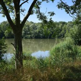 Etang de pêche de la Puchoie à Saint Amand les eaux dans le Nord