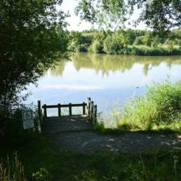Etang de pêche de la Puchoie à Saint Amand les eaux dans le Nord