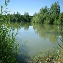 Etang de pêche de la Puchoie à Saint Amand les eaux dans le Nord