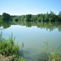 Etang de pêche de la Puchoie à Saint Amand les eaux dans le Nord