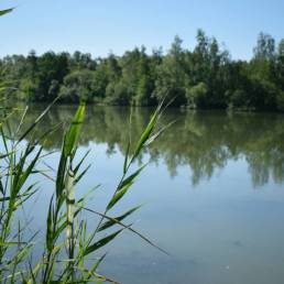 Etang de pêche de la Puchoie à Saint Amand les eaux dans le Nord